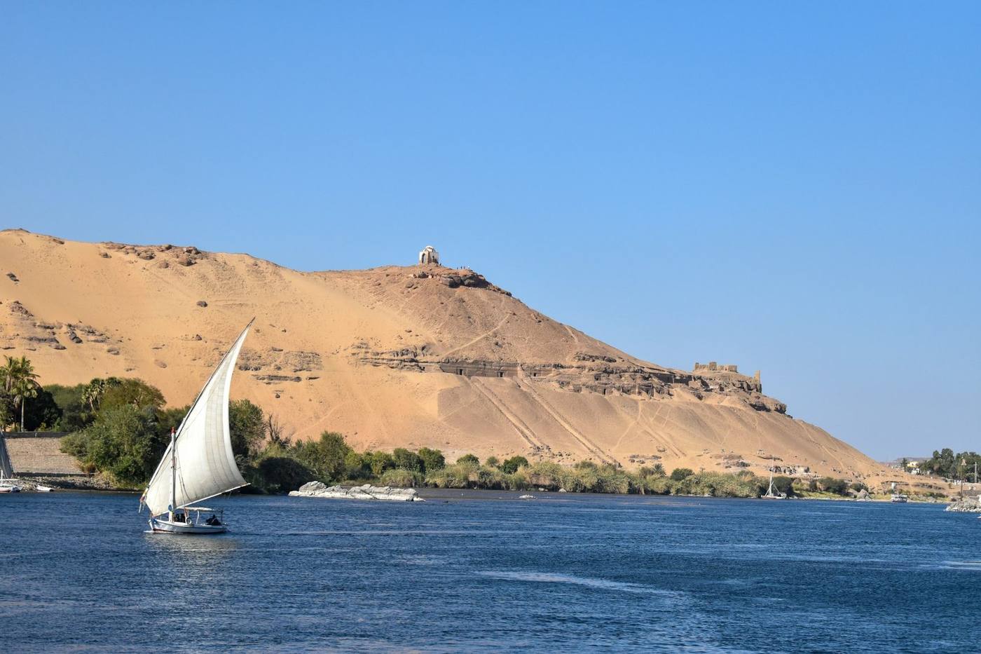Felucca at golden hour